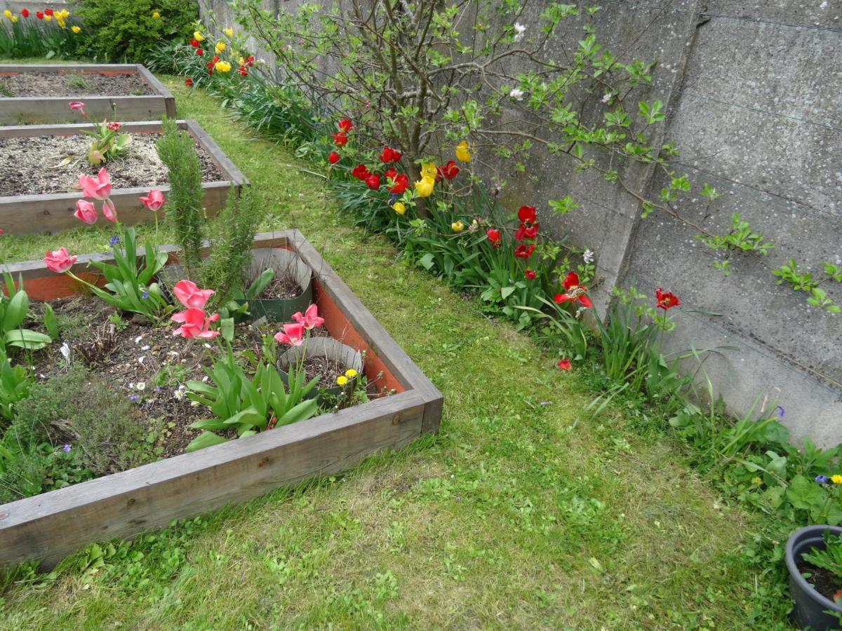 Maison D'Hotes Les Roses Tremieres 샤클레 외부 사진