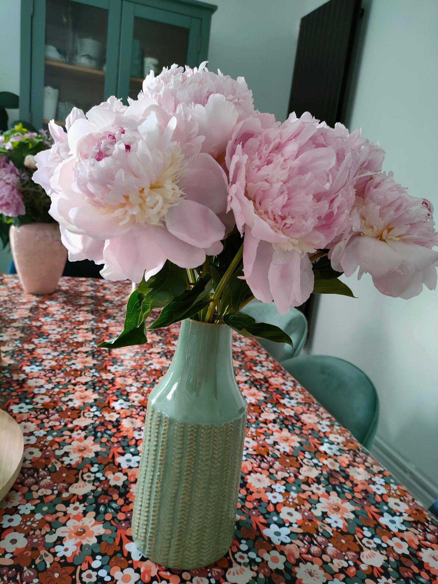 Maison D'Hotes Les Roses Tremieres 샤클레 외부 사진