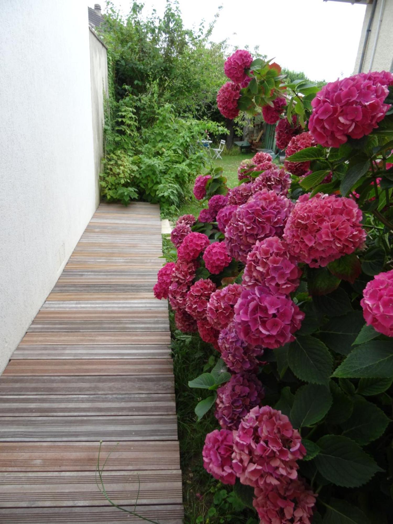 Maison D'Hotes Les Roses Tremieres 샤클레 외부 사진